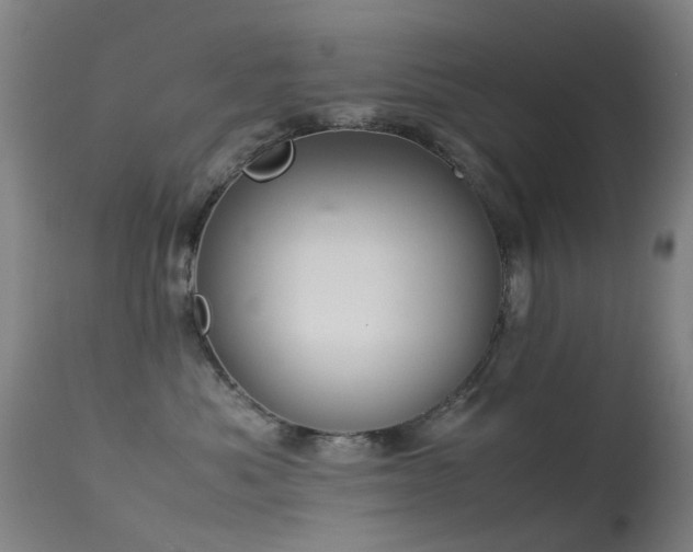 X0000113260525200909171652