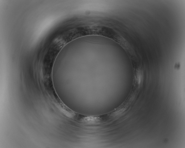 X0000113260526200909171652