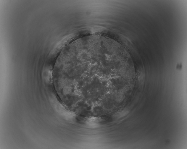 X0000113260527200909171652