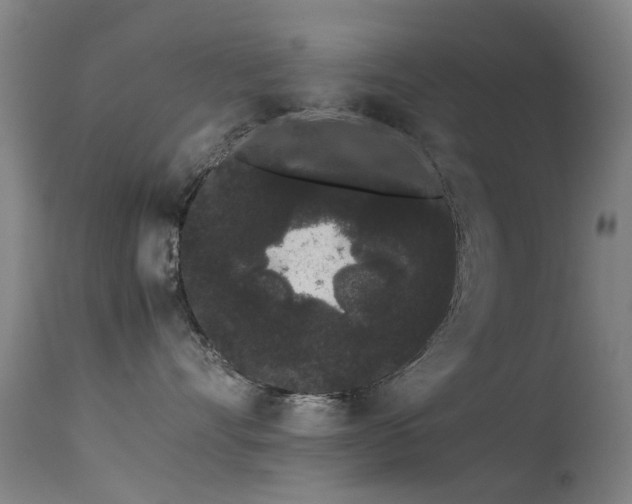 X0000113260528200909171652