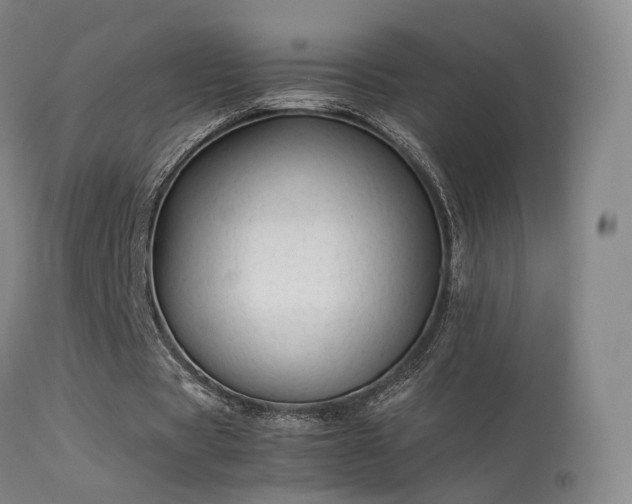 X0000113260529200909171652