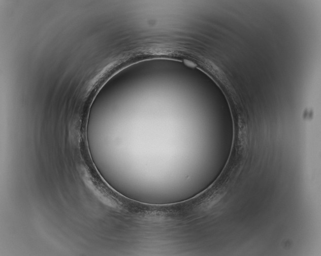 X0000113260530200909171652