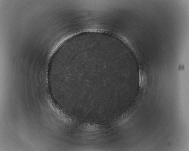 X0000113260531200909171652