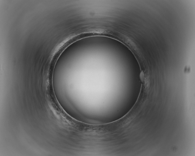 X0000113260532200909171652