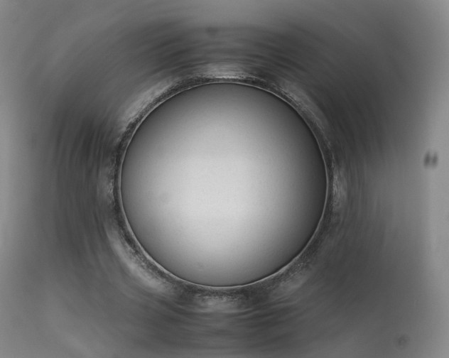 X0000113260533200909171652