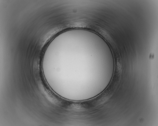 X0000113260534200909171652