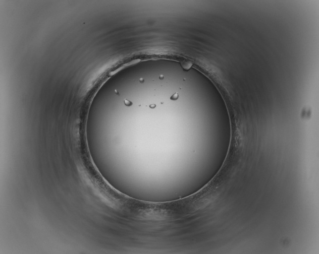 X0000113260535200909171652