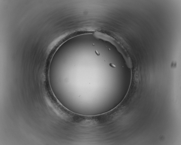 X0000113260536200909171652