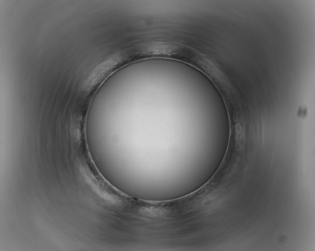 X0000113260537200909171652