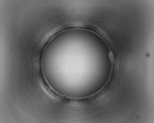 X0000113260538200909171652