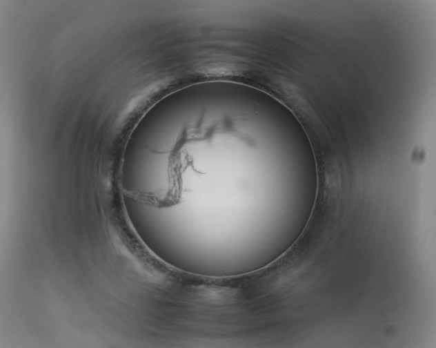 X0000113260539200909171652