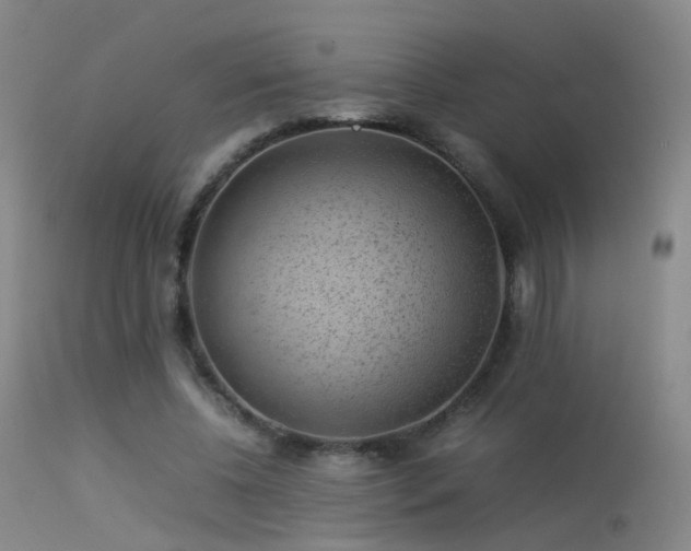 X0000113260540200909171652