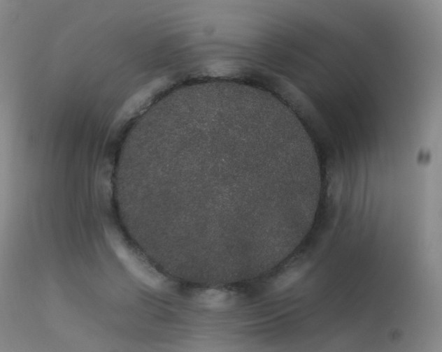 X0000113260542200909171652