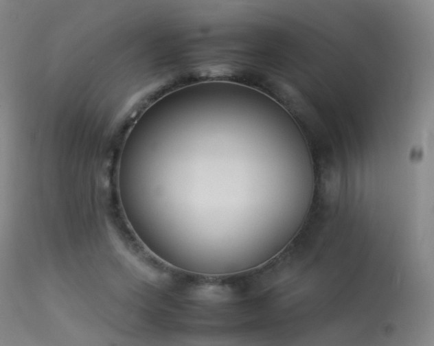 X0000113260543200909171652