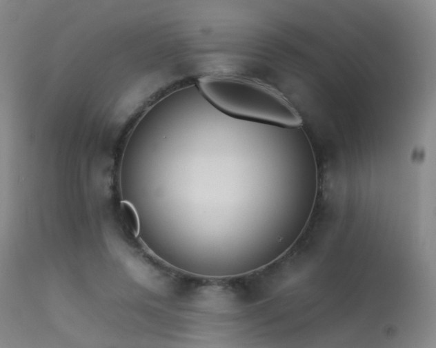 X0000113260544200909171652