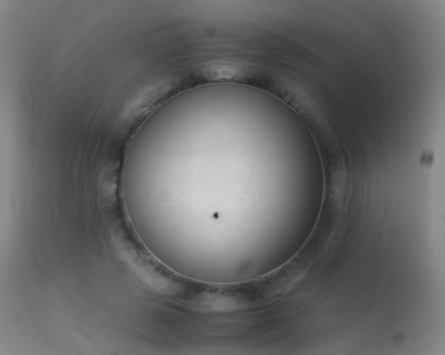 X0000113260545200909171652