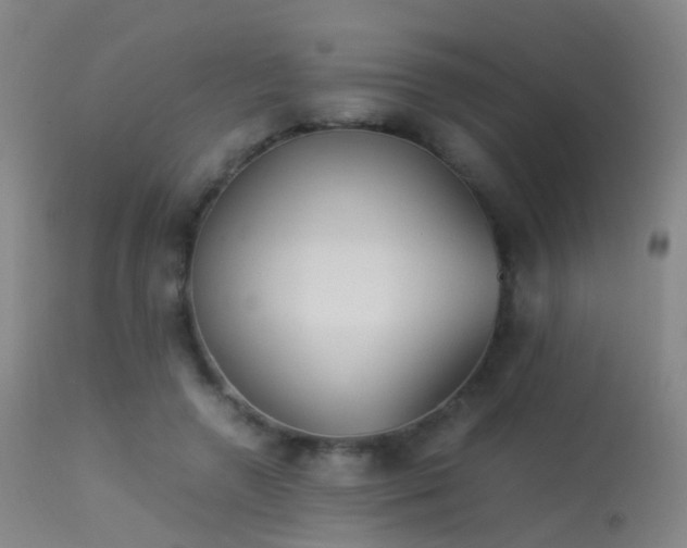 X0000113260546200909171652