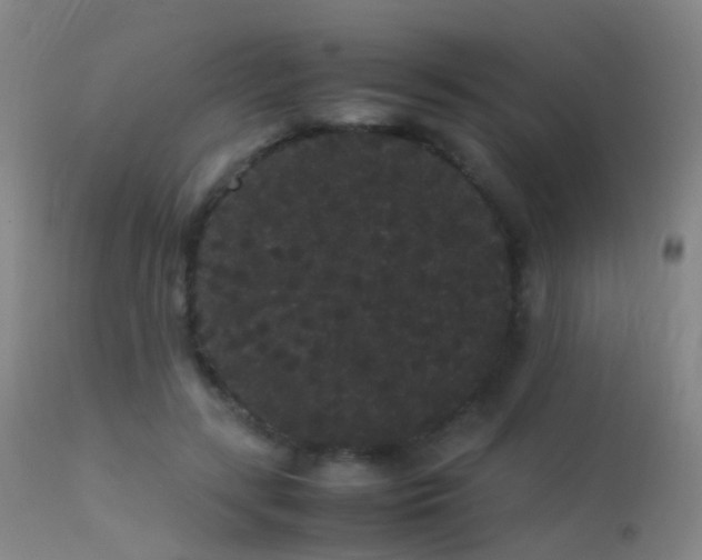 X0000113260547200909171652