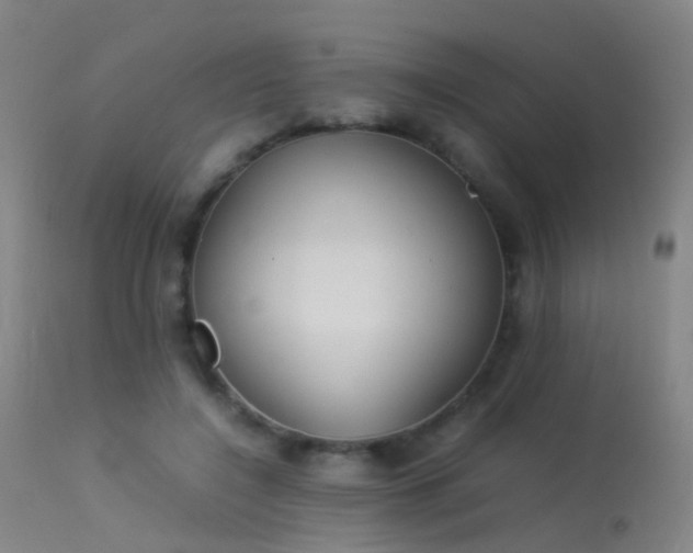 X0000113260548200909171652