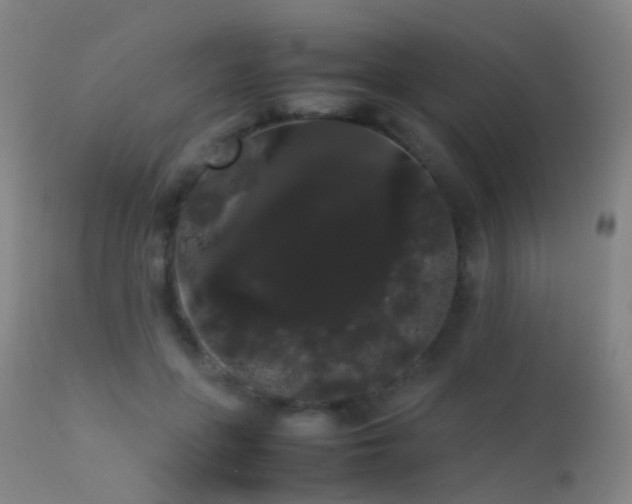 X0000113260551200909171652