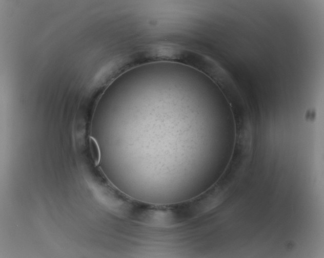 X0000113260552200909171652