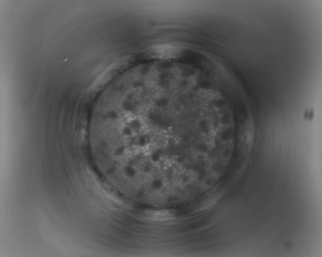 X0000113260553200909171652