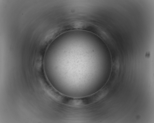 X0000113260554200909171652