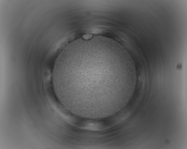 X0000113260555200909171652