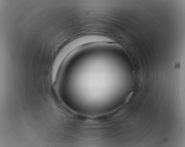 X0000113260556200909171652