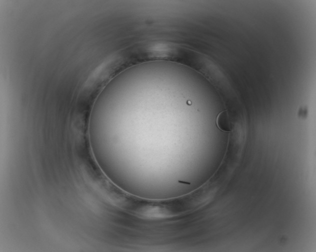 X0000113260557200909171652