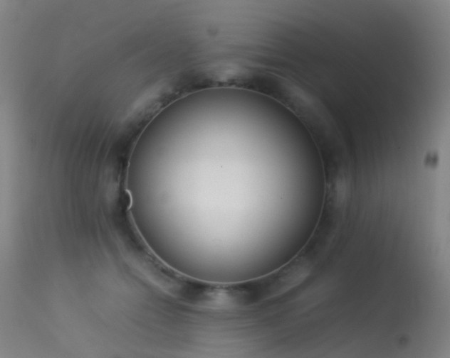 X0000113260558200909171652