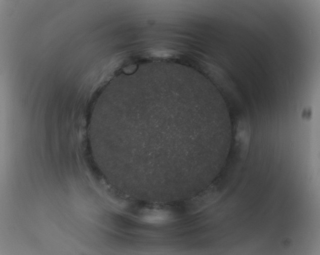 X0000113260559200909171652