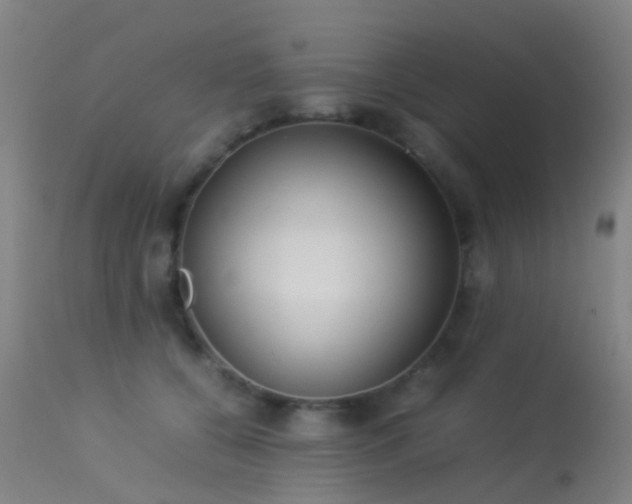 X0000113260560200909171652