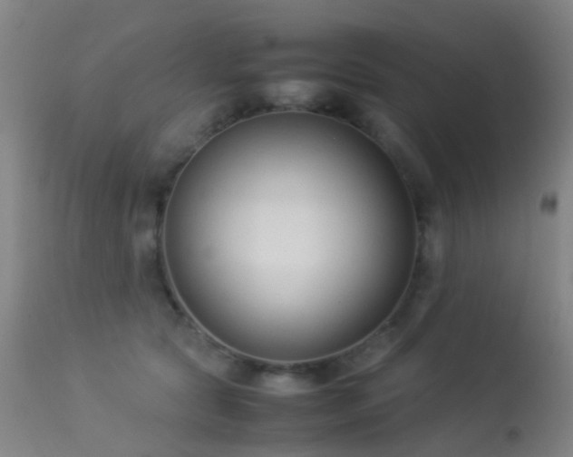 X0000113260561200909171652