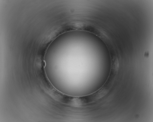 X0000113260562200909171652