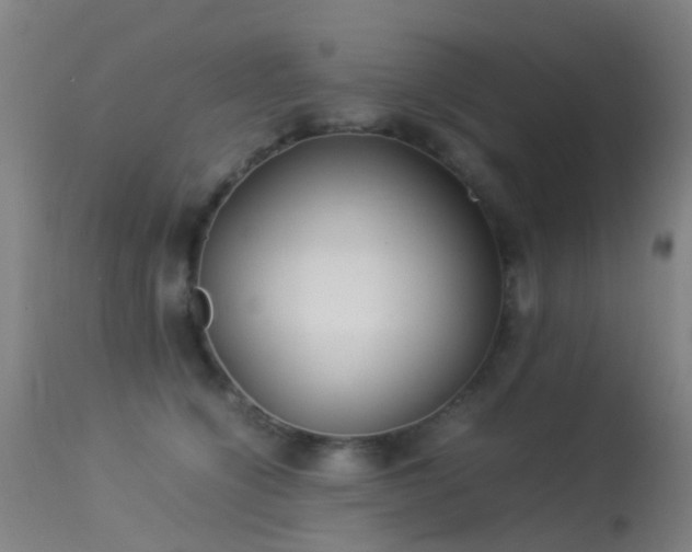 X0000113260564200909171652