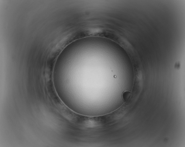 X0000113260565200909171652