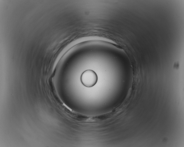 X0000113260566200909171652