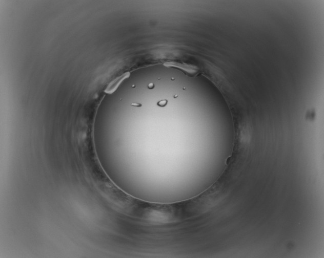 X0000113260567200909171652