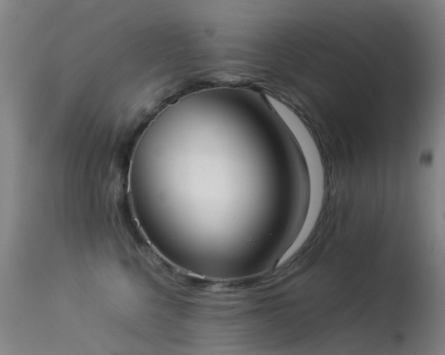 X0000113260568200909171652