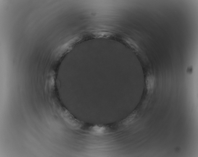 X0000113260570200909171652