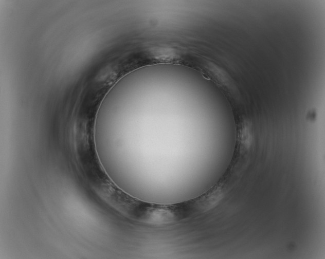 X0000113260572200909171652