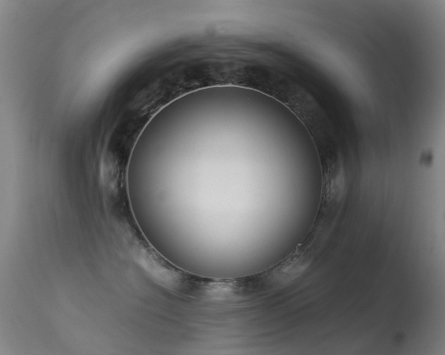 X0000113260574200909171652