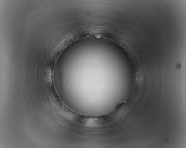 X0000113260575200909171652