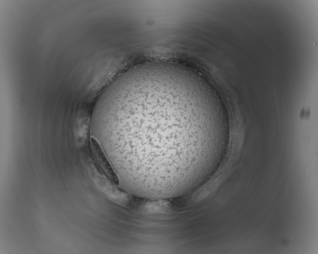 X0000113260576200909171652