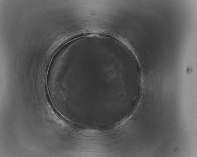 X0000113260577200909171652