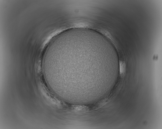 X0000113260579200909171652