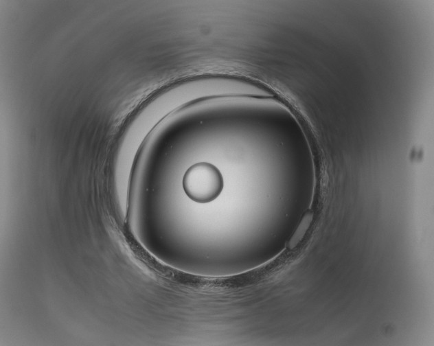 X0000113260581200909171652