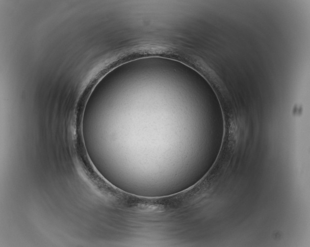 X0000113260582200909171652