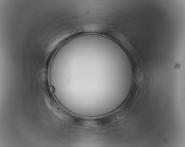 X0000113260583200909171651